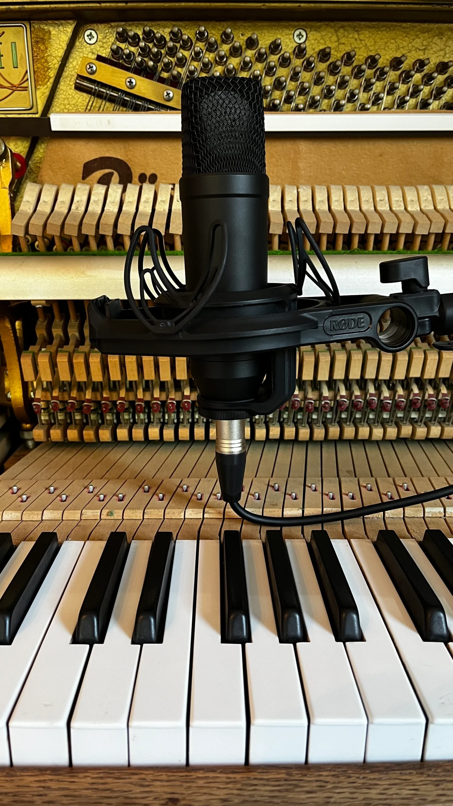 Studio microphone positioned in front of exposed upright piano strings and keys